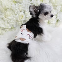 Puppy love belt
