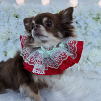 Sweet Strawberry bib