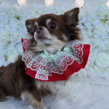 Sweet Strawberry bib