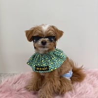 Neon Leopard bib