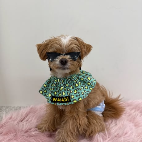 Neon Leopard bib
