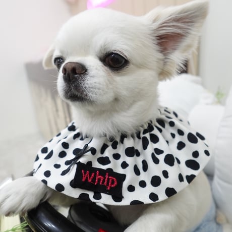 Dalmatian bib