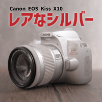 ✨ショット数2231回で新品級✨WiFi転送✨Nikon 1 J5 034-1 | CAMEL