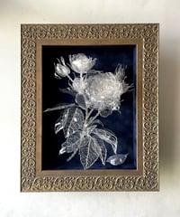 Art Flower｜陽の薔薇（額装）