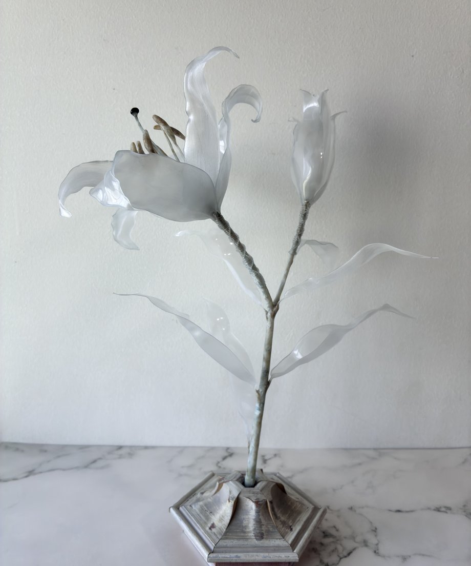 6a002bbf3b83cfe25d7cec5b