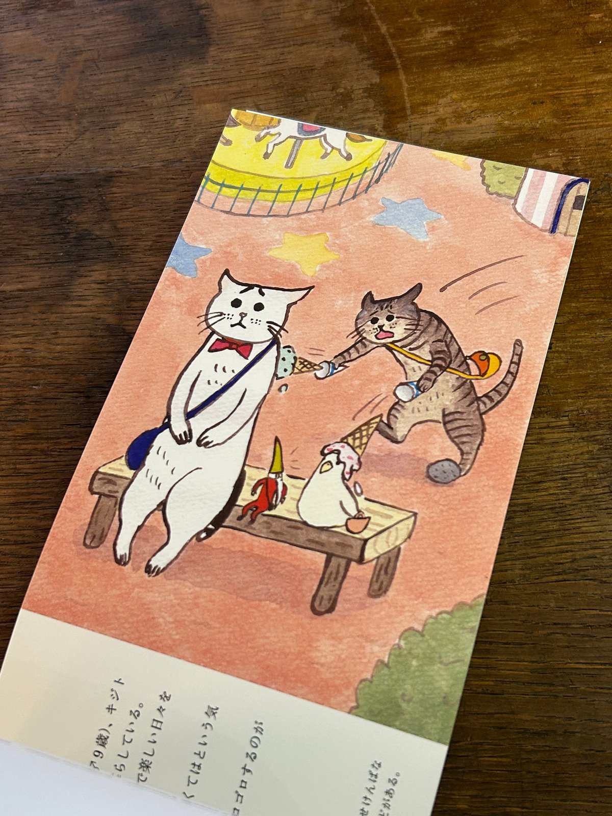 ねこ100テン ポストカードブック（URESICA） | 本屋 山山