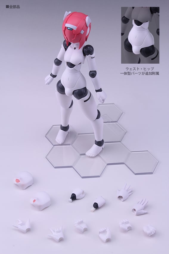 ポリニアン MMM シャムロック（アップデート版） | ダイバディ