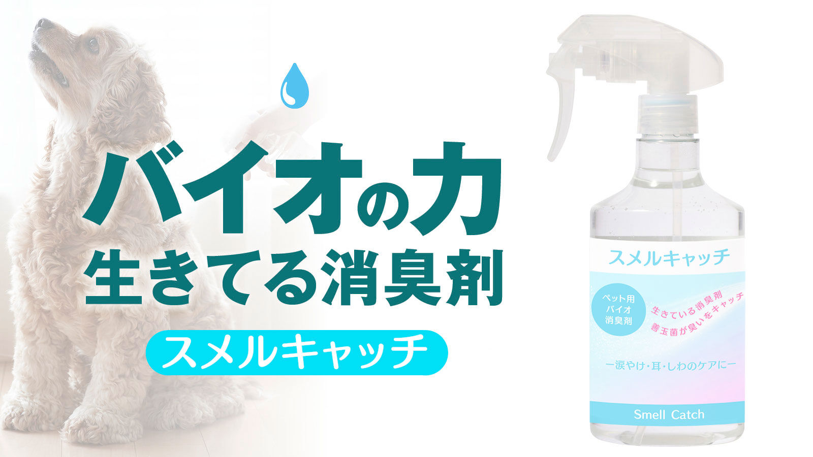 ペット用消臭剤とシャンプーのお店