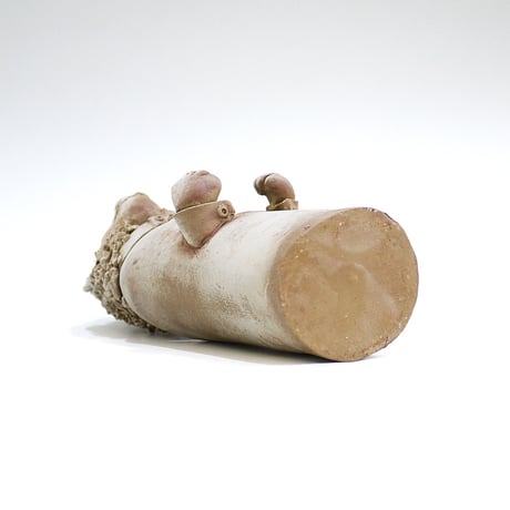 ライオンの花入れ〈Lion Vase〉／陶芸家 はらかおり｜ハンドメイド陶器の花器