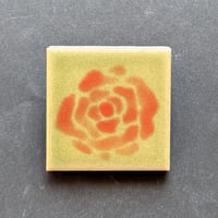 薔薇
