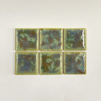 5 （6枚set）