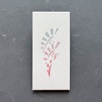 巻貝