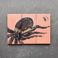 タコ（3枚set）