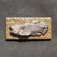青銅空棘魚