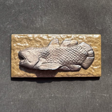青銅空棘魚