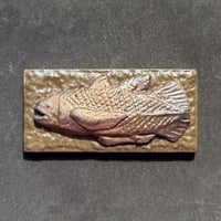 黄金空棘魚