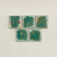 11 （5枚set）