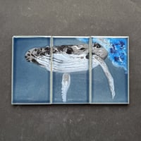 クジラ（3枚set）