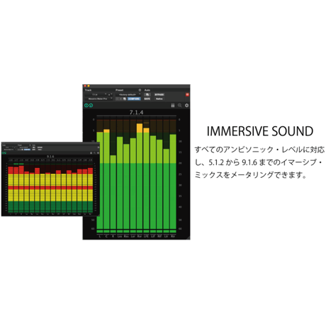 MASSIVE METER PRO