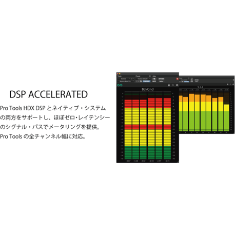 MASSIVE METER PRO