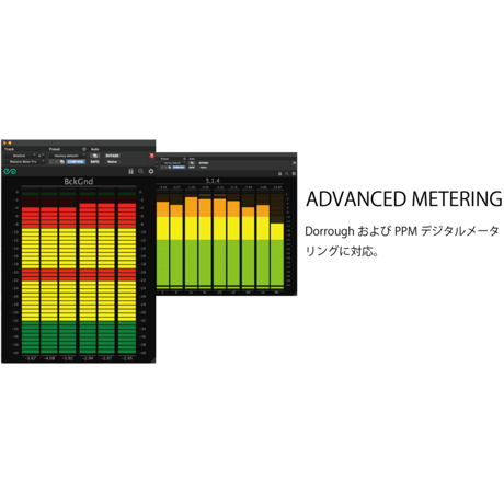 MASSIVE METER PRO