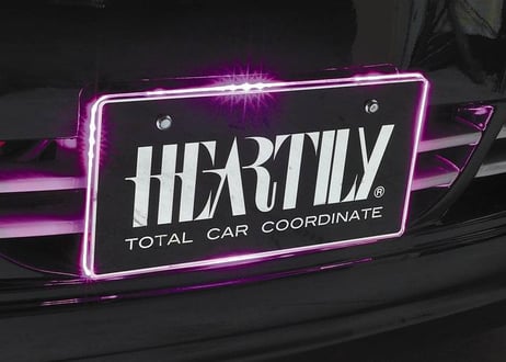 LEDナンバーベース　ツインカラーバージョン