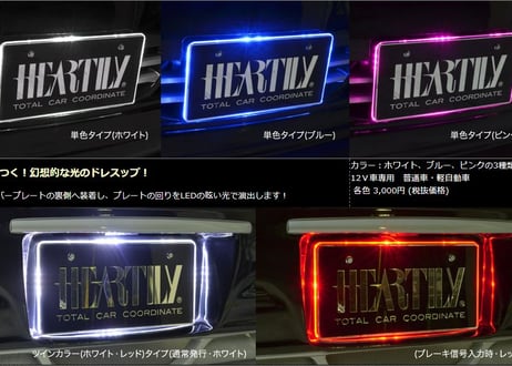 LEDナンバーベース　ツインカラーバージョン