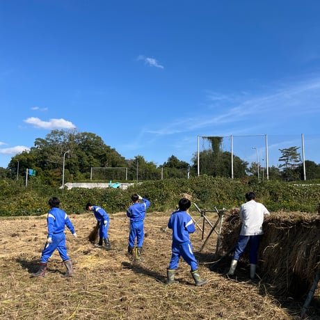 無農薬・数量限定  一十土米（イットウチマイ）