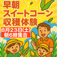 早朝スイートコーン収穫体験（8月23日 開催分）グループチケット