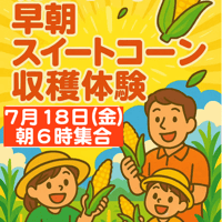 早朝スイートコーン収穫体験（7月18日 開催分）グループチケット