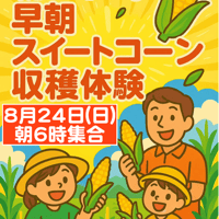 早朝スイートコーン収穫体験（8月24日 開催分）グループチケット