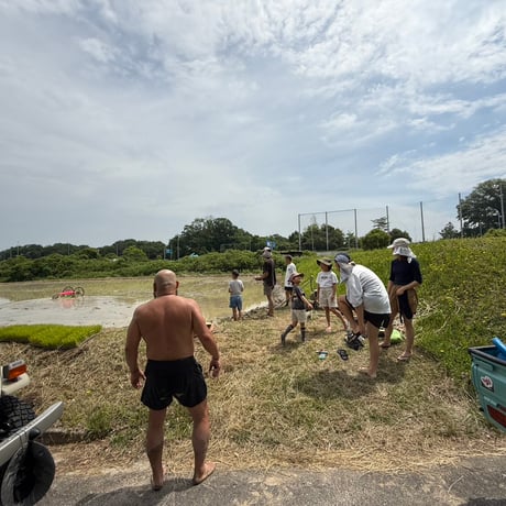 無農薬・数量限定  一十土米（イットウチマイ）
