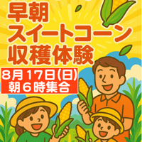 早朝スイートコーン収穫体験（8月17日 開催分）グループチケット