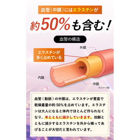 〖詳細はこちら▶️〗１袋【血管と肌のエラスチン】30粒30日分  機能性表示食品 クリックポスト送料無料