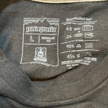 D527 Patagonia 半袖Tシャツ