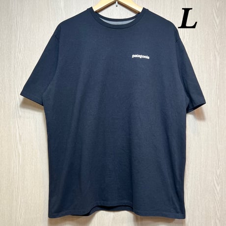 D527 Patagonia 半袖Tシャツ
