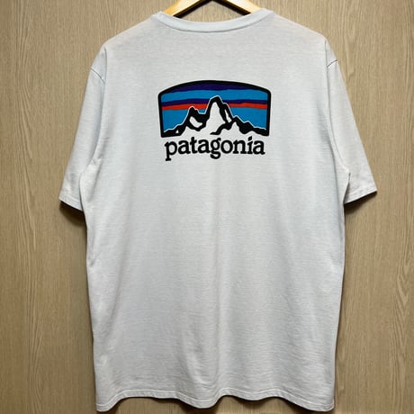 D540 Patagonia 半袖Tシャツ