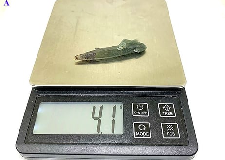 セリフォスグリーンクォーツ原石M②