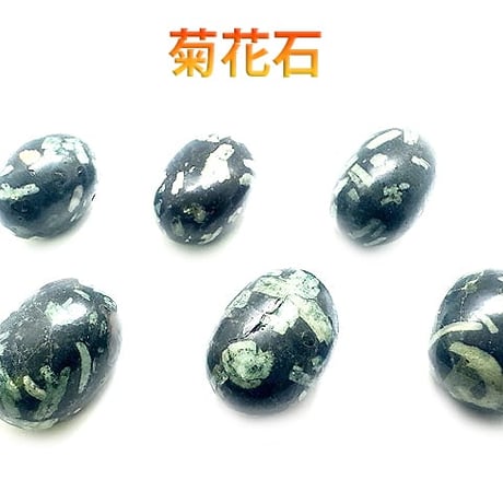 菊花石 | STORES