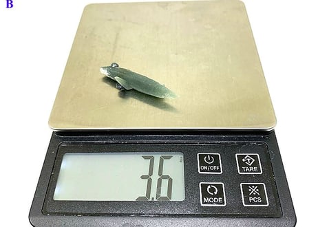 セリフォスグリーンクォーツ原石M②