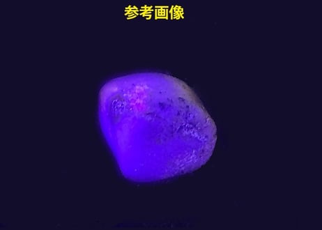 【自店加工】タグトゥパイトタンブル