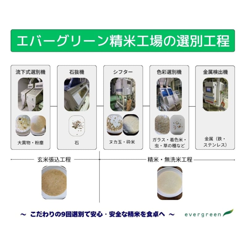 地元応援！群馬県産 あさひの夢 お得セット（5kg×3） | エバーグリーン
