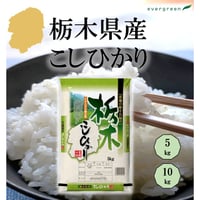 地元応援！群馬県産 あさひの夢 お得セット（5kg×3） | エバーグリーン
