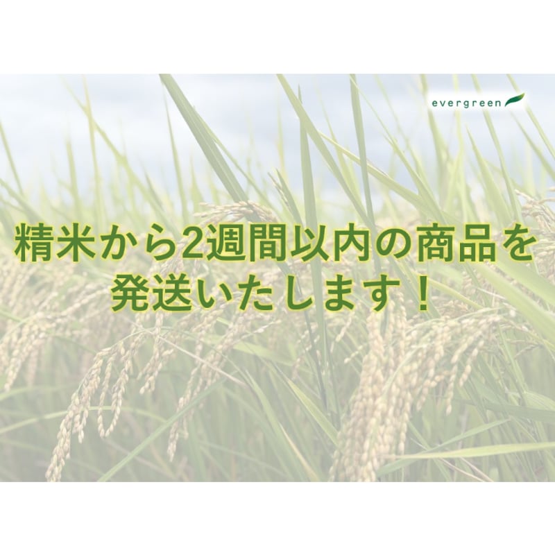 お米の苗　あさひのゆめ　12箱 地元応援！群馬県産 あさひの夢 お得セット（5kg×3） | エバーグリーン