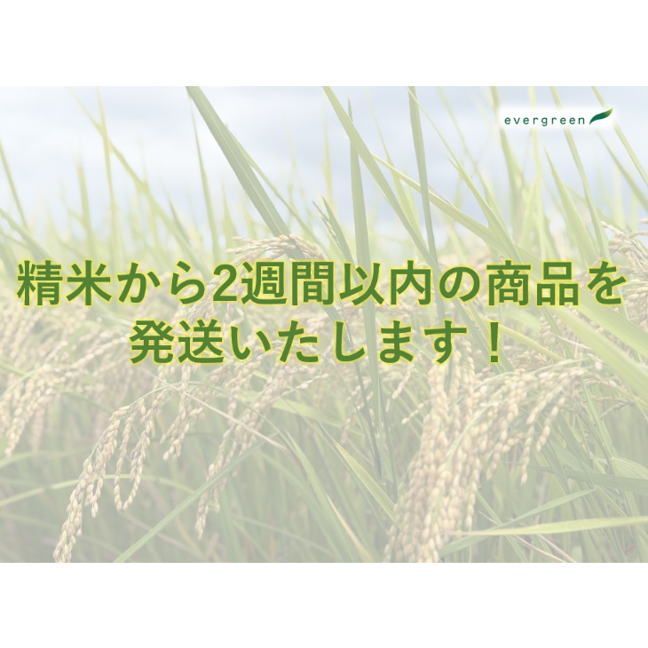 新米令和7年群馬県産あさひの夢 色彩選別機精米 令和7年度 新米 あさひの夢 事前予約開始しました！！：群馬県産の