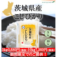 地元応援！群馬県産 あさひの夢 お得セット（5kg×3） | エバーグリーン