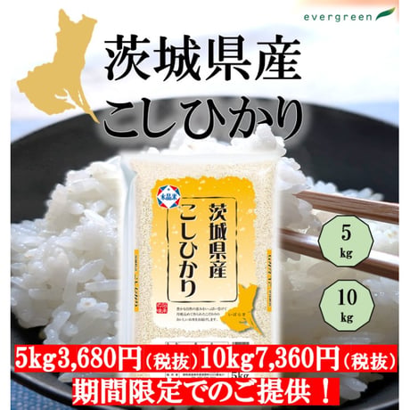 エバーグリーン 公式オンラインストア