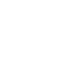 BACK TO RIVER 