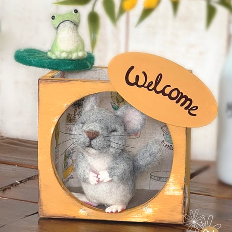 最後の一点！デンマーク産コペンハーゲン社 チンチラ 最後の一点！デンマーク産コペンハーゲン社 チンチラ 最後の一点