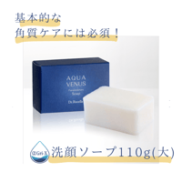 洗顔ソープ110g（大）